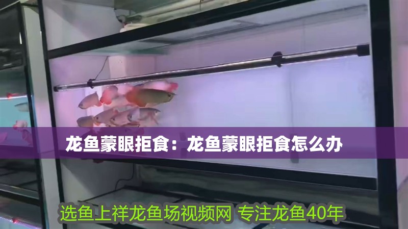 龍魚蒙眼拒食：龍魚蒙眼拒食怎么辦