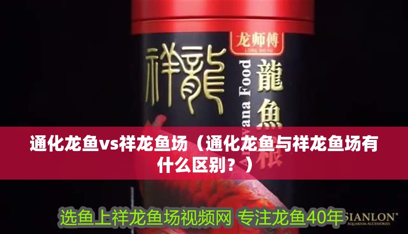 通化龍魚vs祥龍魚場（通化龍魚與祥龍魚場有什么區別？）