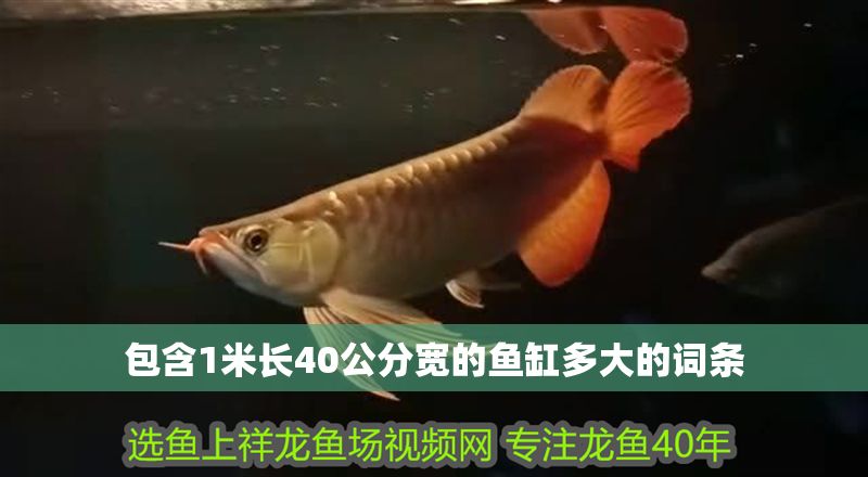包含1米長40公分寬的魚缸多大的詞條