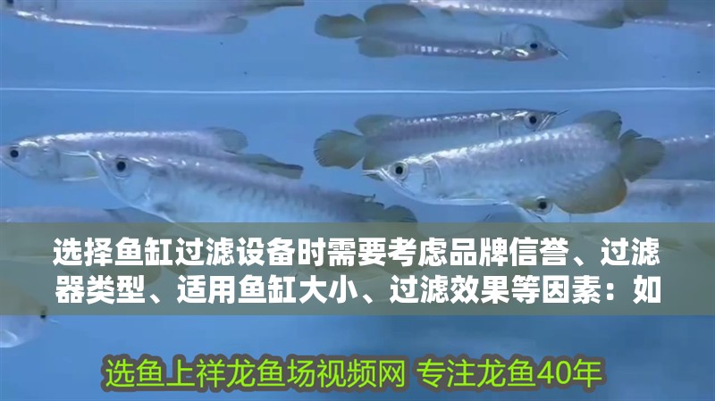 選擇魚缸過濾設備時需要考慮品牌信譽、過濾器類型、適用魚缸大小、過濾效果等因素：如何選擇合適的水族過濾器