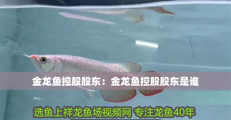 金龍魚控股股東：金龍魚控股股東是誰