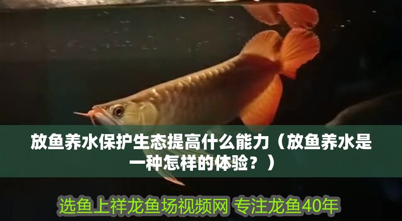 放魚養(yǎng)水保護(hù)生態(tài)提高什么能力（放魚養(yǎng)水是一種怎樣的體驗(yàn)？）