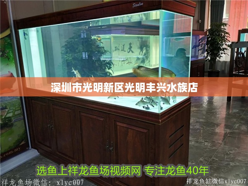 深圳市光明新區(qū)光明豐興水族店