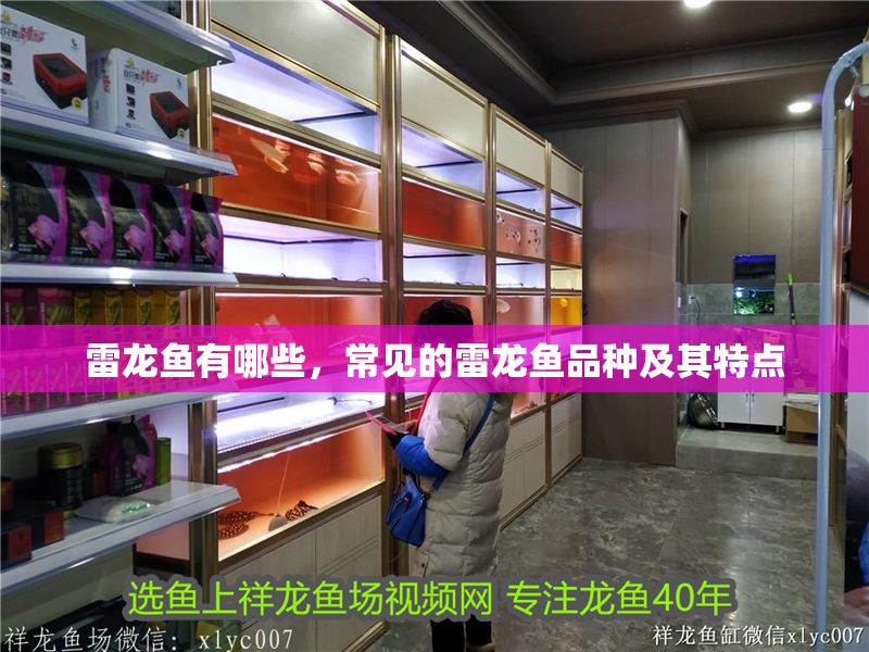 雷龍魚有哪些，常見的雷龍魚品種及其特點