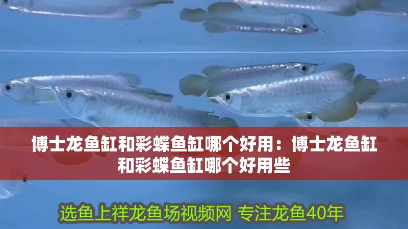 博士龍魚缸和彩蝶魚缸哪個好用：博士龍魚缸和彩蝶魚缸哪個好用些