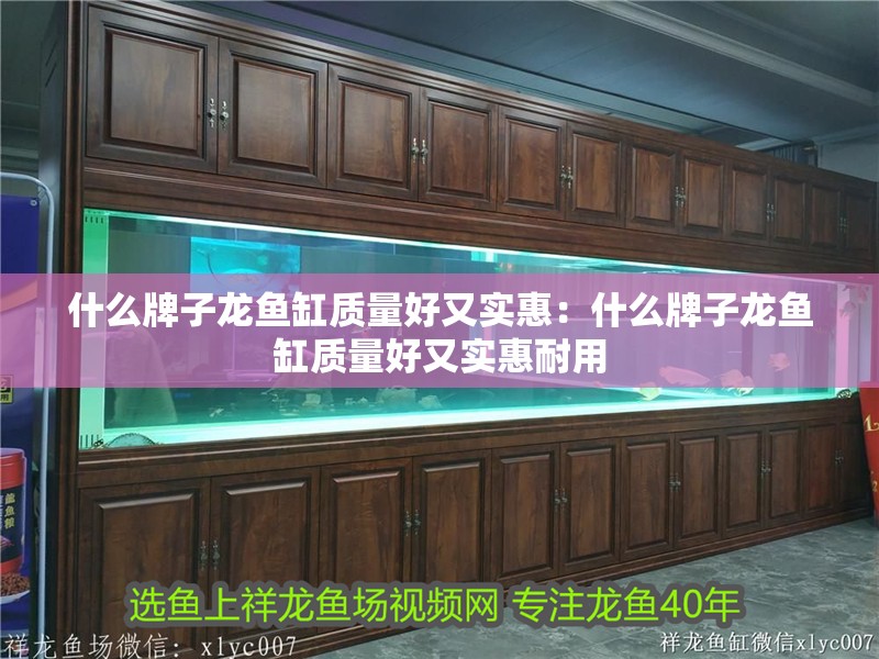 什么牌子龍魚缸質量好又實惠：什么牌子龍魚缸質量好又實惠耐用