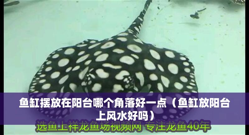 魚缸擺放在陽臺哪個角落好一點（魚缸放陽臺上風水好嗎）