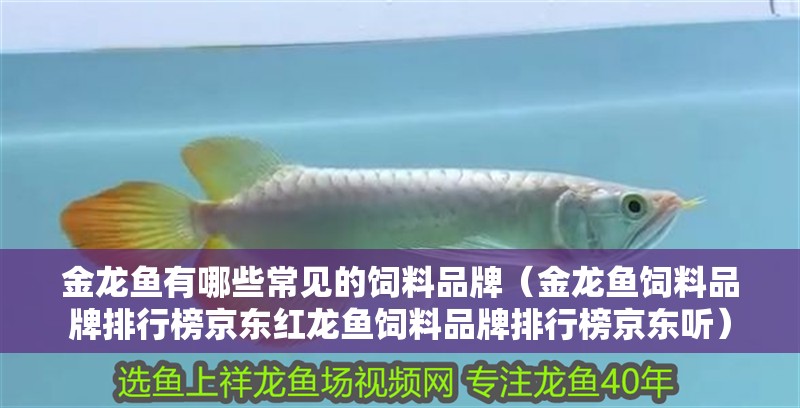 金龍魚有哪些常見的飼料品牌（金龍魚飼料品牌排行榜京東紅龍魚飼料品牌排行榜京東聽）