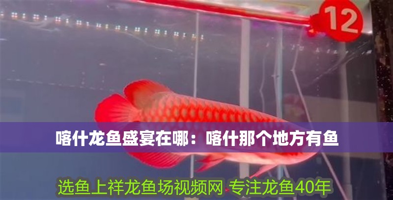 喀什龍魚盛宴在哪：喀什那個(gè)地方有魚