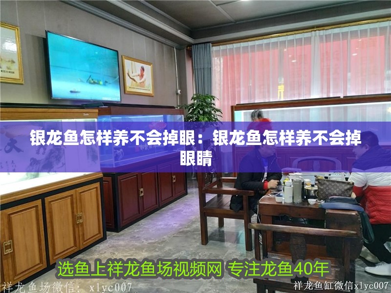 銀龍魚怎樣養不會掉眼：銀龍魚怎樣養不會掉眼睛