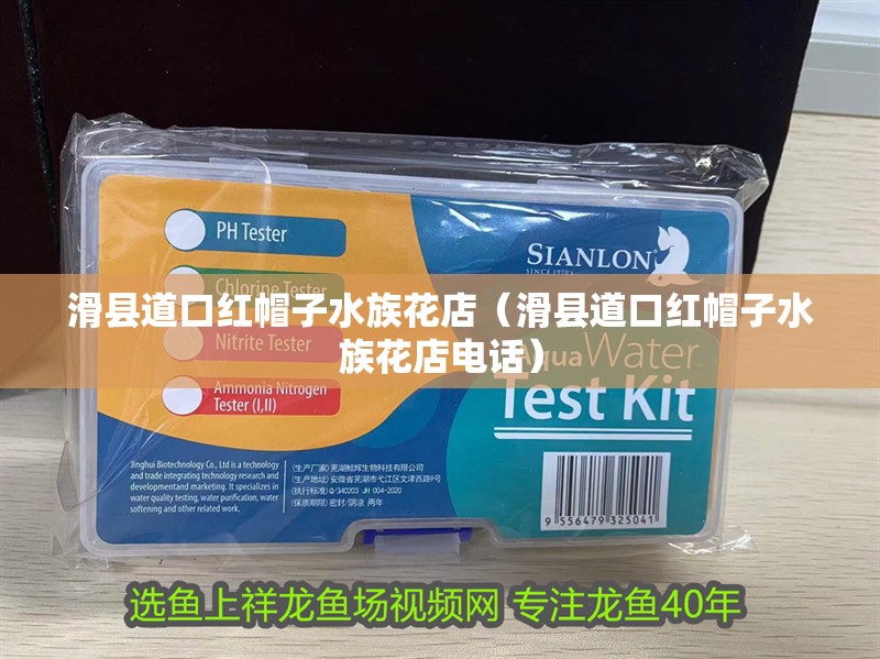 滑縣道口紅帽子水族花店（滑縣道口紅帽子水族花店電話）