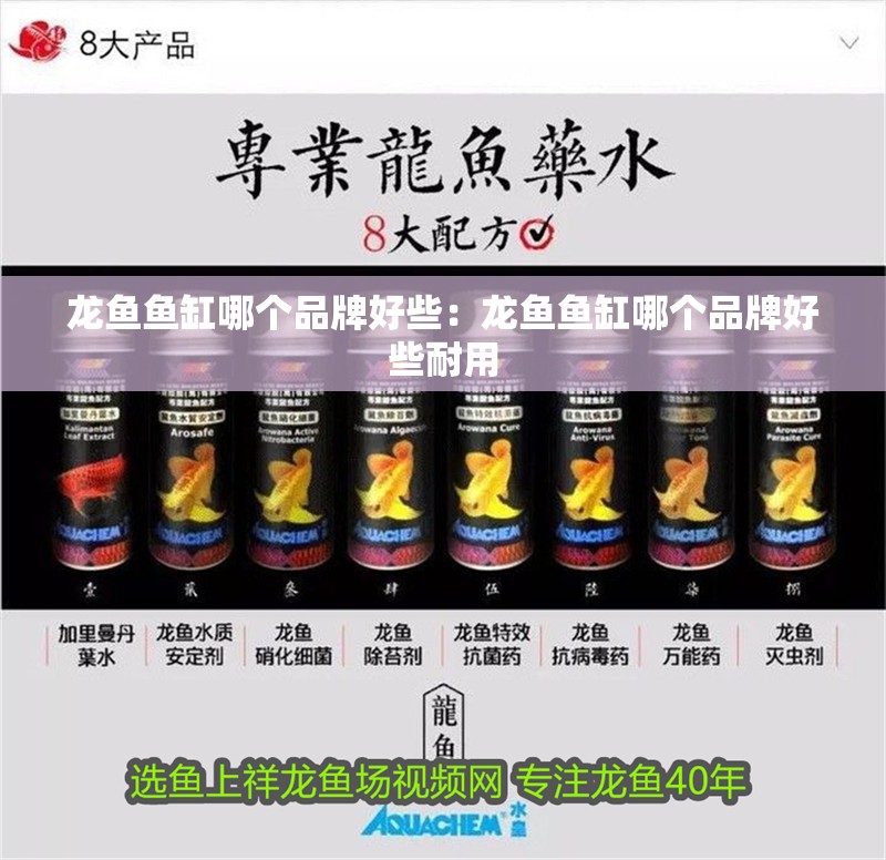 龍魚魚缸哪個品牌好些：龍魚魚缸哪個品牌好些耐用