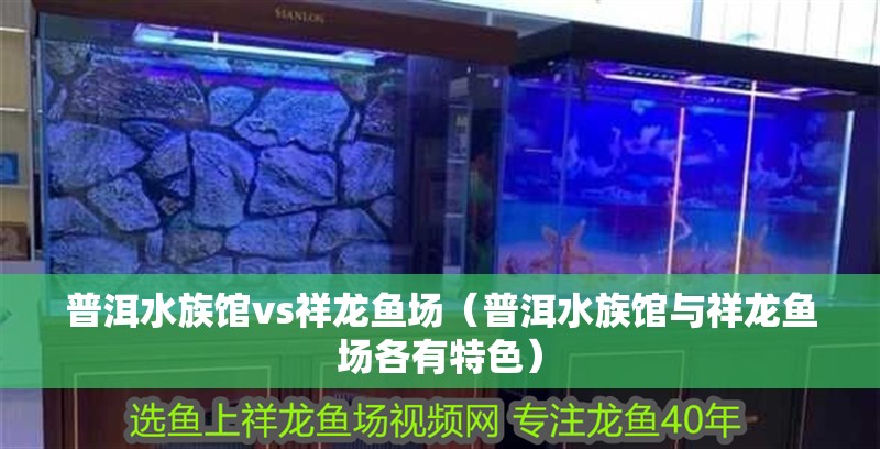 普洱水族館vs祥龍魚場（普洱水族館與祥龍魚場各有特色）
