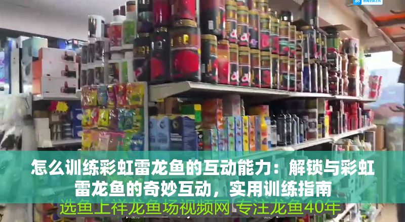 怎么訓(xùn)練彩虹雷龍魚的互動能力：解鎖與彩虹雷龍魚的奇妙互動，實用訓(xùn)練指南