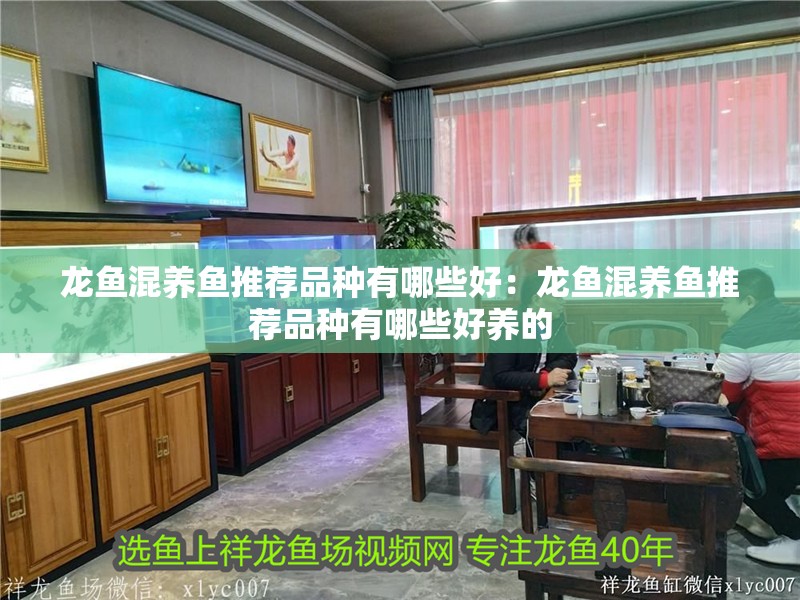 龍魚混養(yǎng)魚推薦品種有哪些好：龍魚混養(yǎng)魚推薦品種有哪些好養(yǎng)的