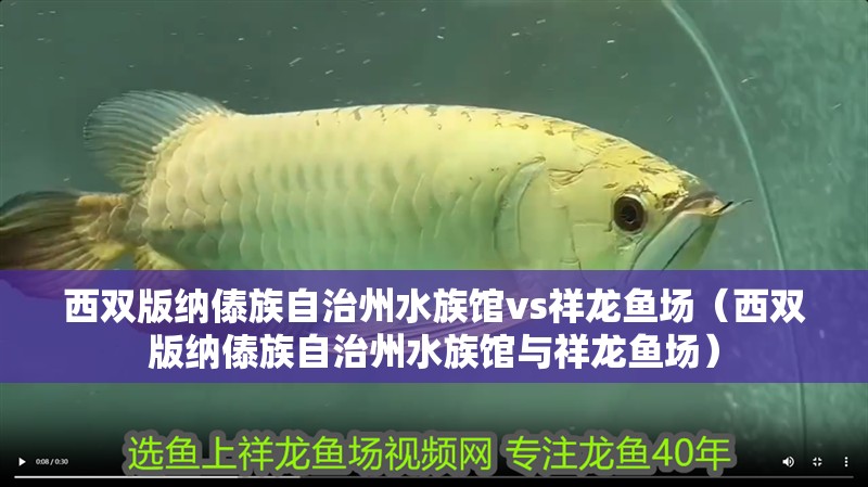 西雙版納傣族自治州水族館vs祥龍魚場（西雙版納傣族自治州水族館與祥龍魚場）