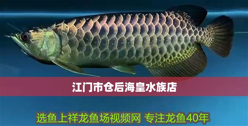 江門市倉后海皇水族店