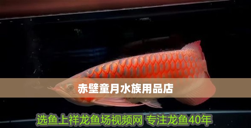 赤壁童月水族用品店