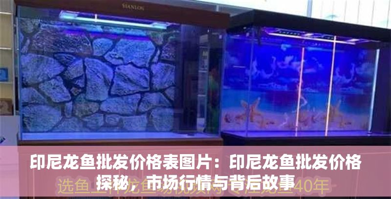 印尼龍魚批發價格表圖片：印尼龍魚批發價格探秘，市場行情與背后故事