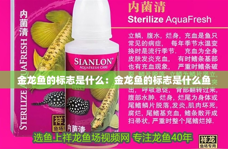 金龍魚的標志是什么：金龍魚的標志是什么魚