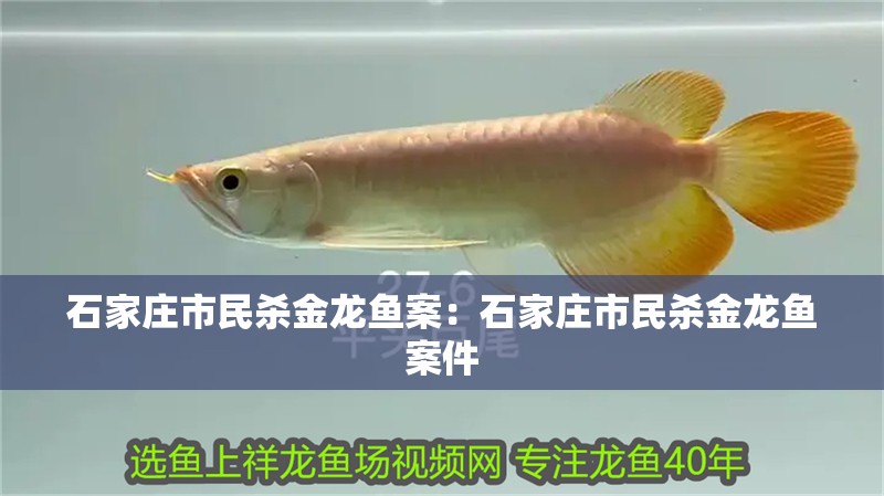 石家莊市民殺金龍魚案：石家莊市民殺金龍魚案件