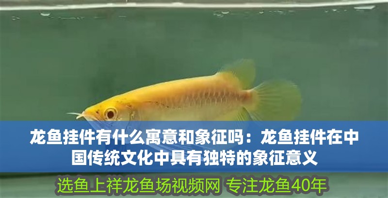 龍魚掛件有什么寓意和象征嗎：龍魚掛件在中國(guó)傳統(tǒng)文化中具有獨(dú)特的象征意義