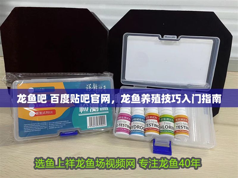 龍魚吧 百度貼吧官網，龍魚養殖技巧入門指南
