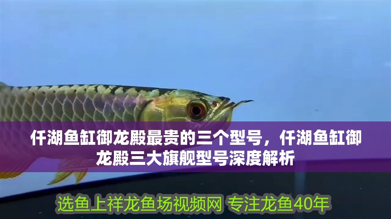 仟湖魚缸御龍殿最貴的三個型號，仟湖魚缸御龍殿三大旗艦型號深度解析