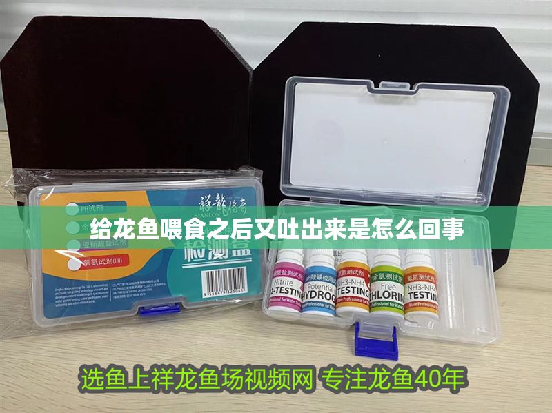 給龍魚喂食之后又吐出來是怎么回事