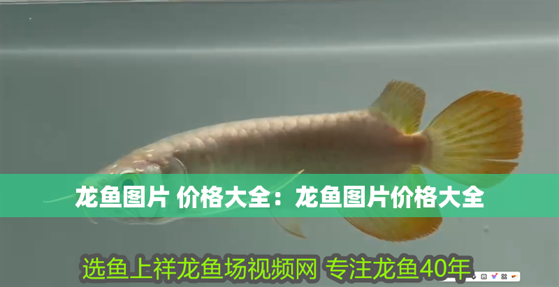 龍魚最長幾天可以不喂食物