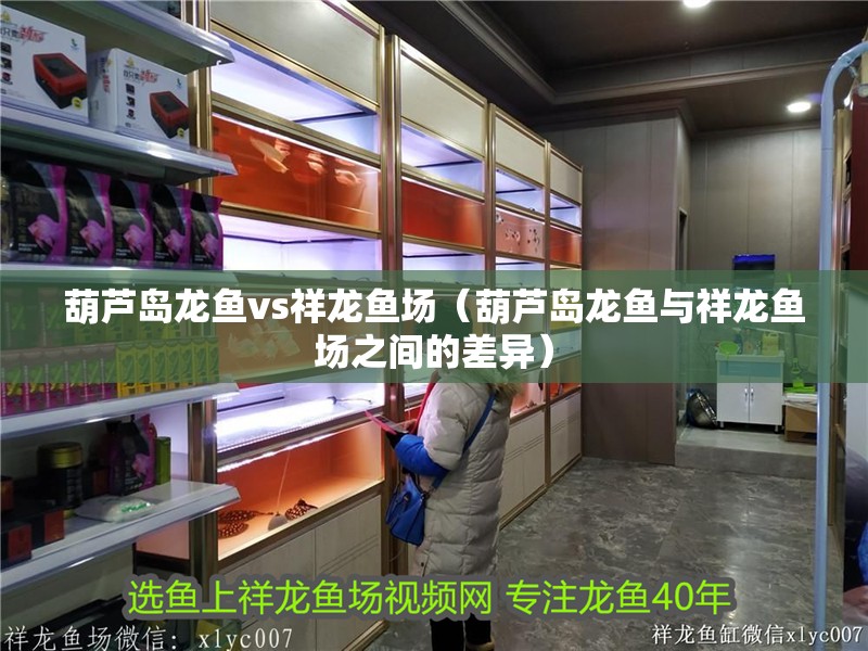 葫蘆島龍魚vs祥龍魚場（葫蘆島龍魚與祥龍魚場之間的差異）