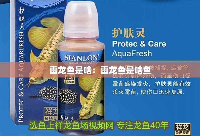雷龍魚是啥：雷龍魚是啥魚