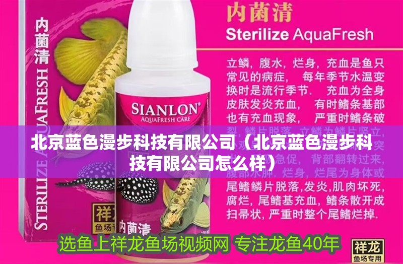 北京藍色漫步科技有限公司（北京藍色漫步科技有限公司怎么樣）