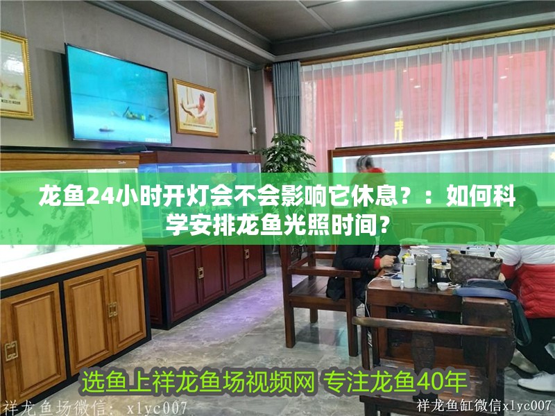 龍魚24小時開燈會不會影響它休息？：如何科學安排龍魚光照時間？