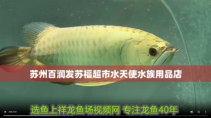 蘇州百潤發蘇福超市水天使水族用品店