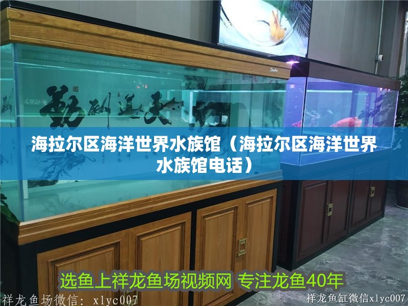 海拉爾區(qū)海洋世界水族館（海拉爾區(qū)海洋世界水族館電話）