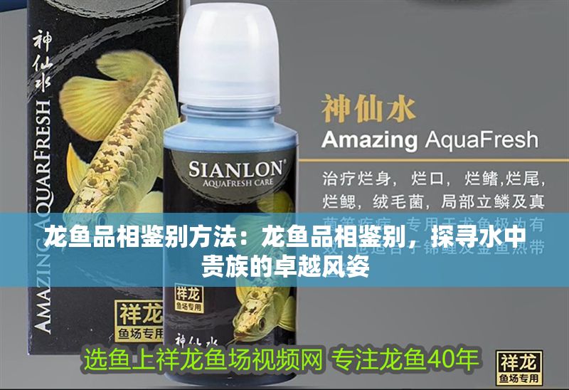 龍魚品相鑒別方法：龍魚品相鑒別，探尋水中貴族的卓越風(fēng)姿