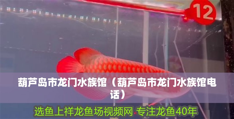 葫蘆島市龍門水族館（葫蘆島市龍門水族館電話）