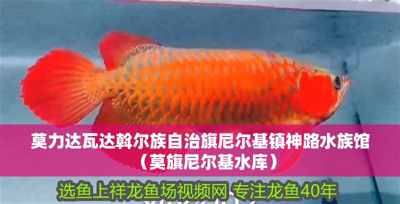 莫力達(dá)瓦達(dá)斡爾族自治旗尼爾基鎮(zhèn)神路水族館（莫旗尼爾基水庫）