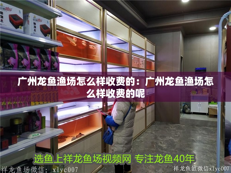 廣州龍魚漁場怎么樣收費的：廣州龍魚漁場怎么樣收費的呢