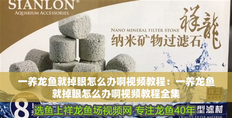 一養龍魚就掉眼怎么辦啊視頻教程:一養龍魚就掉眼怎么辦啊視頻教程全集 水族問答 一養龍魚就掉眼怎么辦啊視頻教程:一養龍魚就掉眼怎么辦啊視頻教程全集 一養龍魚就掉眼怎么辦啊視頻教程:一養龍魚就掉眼怎么辦啊視頻教程全集 水族問答