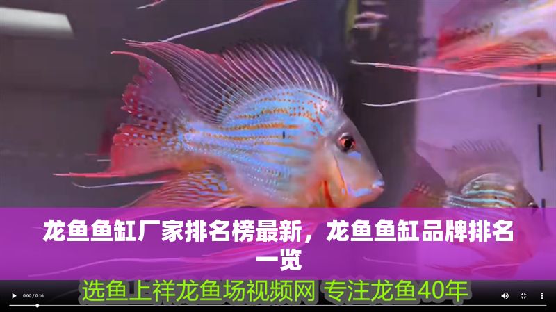 龍魚(yú)魚(yú)缸廠家排名榜最新，龍魚(yú)魚(yú)缸品牌排名一覽