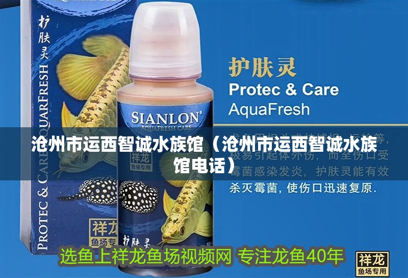 滄州市運西智誠水族館（滄州市運西智誠水族館電話）