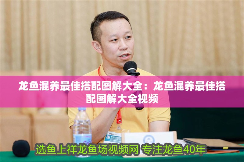 龍魚混養(yǎng)最佳搭配圖解大全：龍魚混養(yǎng)最佳搭配圖解大全視頻