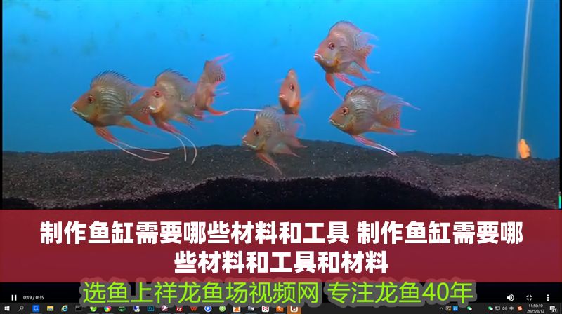 制作魚缸需要哪些材料和工具 制作魚缸需要哪些材料和工具和材料