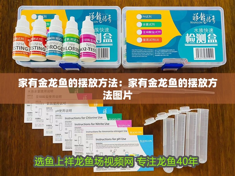家有金龍魚的擺放方法：家有金龍魚的擺放方法圖片