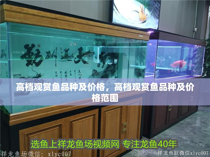 高檔觀賞魚品種及價格，高檔觀賞魚品種及價格范圍