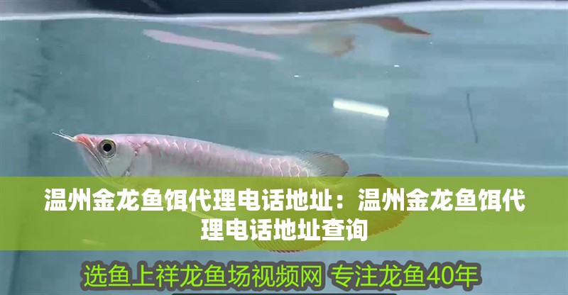 溫州金龍魚餌代理電話地址：溫州金龍魚餌代理電話地址查詢
