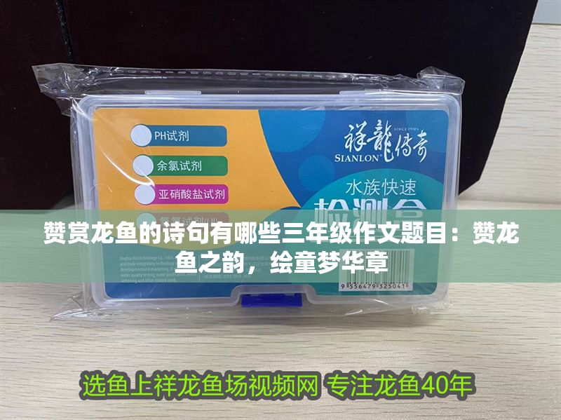 贊賞龍魚的詩句有哪些三年級作文題目：贊龍魚之韻，繪童夢華章