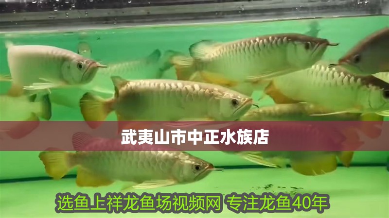 武夷山市中正水族店